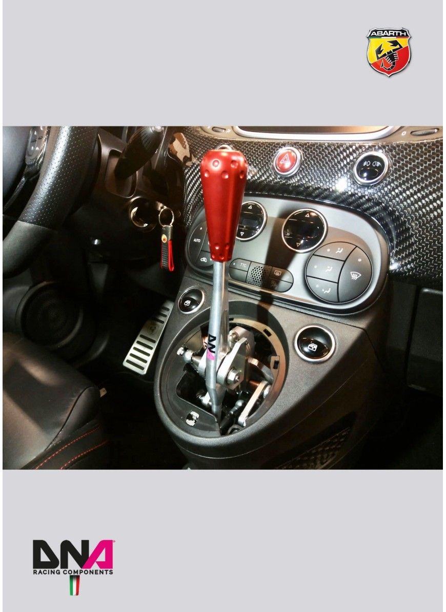 アバルト595 CAEウルトラシフター用カーボンパネル CAEウルトラ